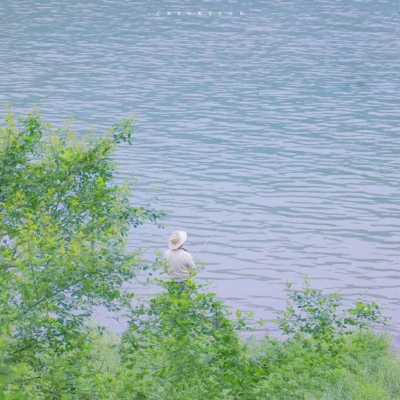 兽设草原场景绘制福瑞交流群